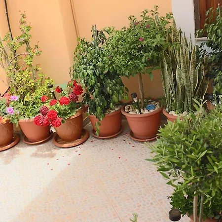 Spacious House Apartament
